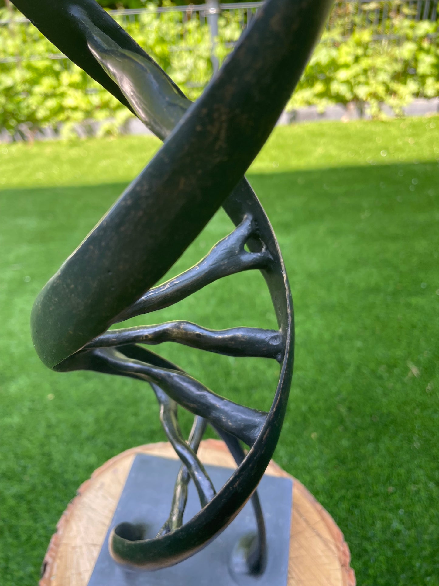 DNA Helix – Bronze Sculpture. 53x13x13cm - 2.7Kg