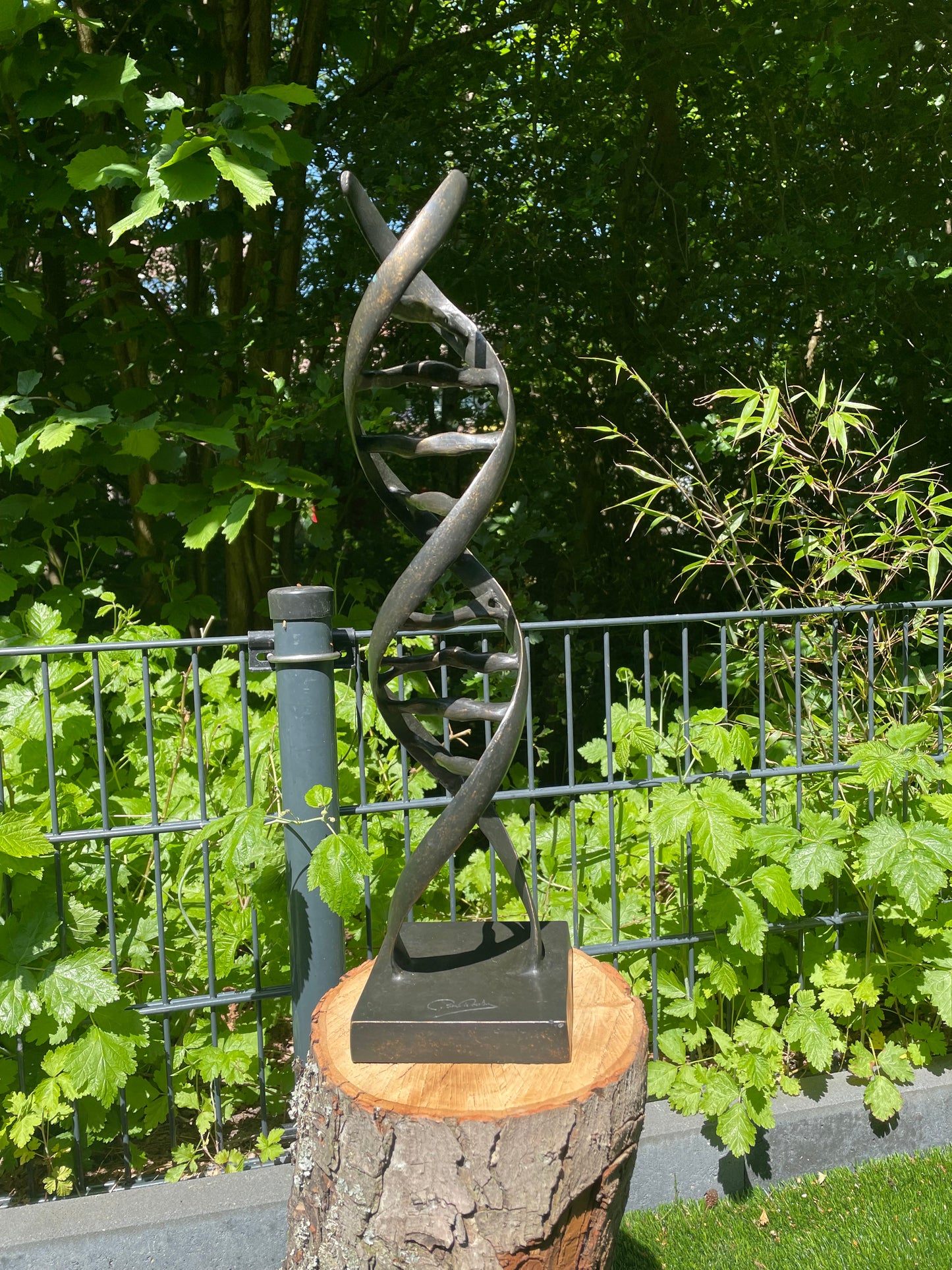 DNA Helix – Bronze Sculpture. 53x13x13cm - 2.7Kg