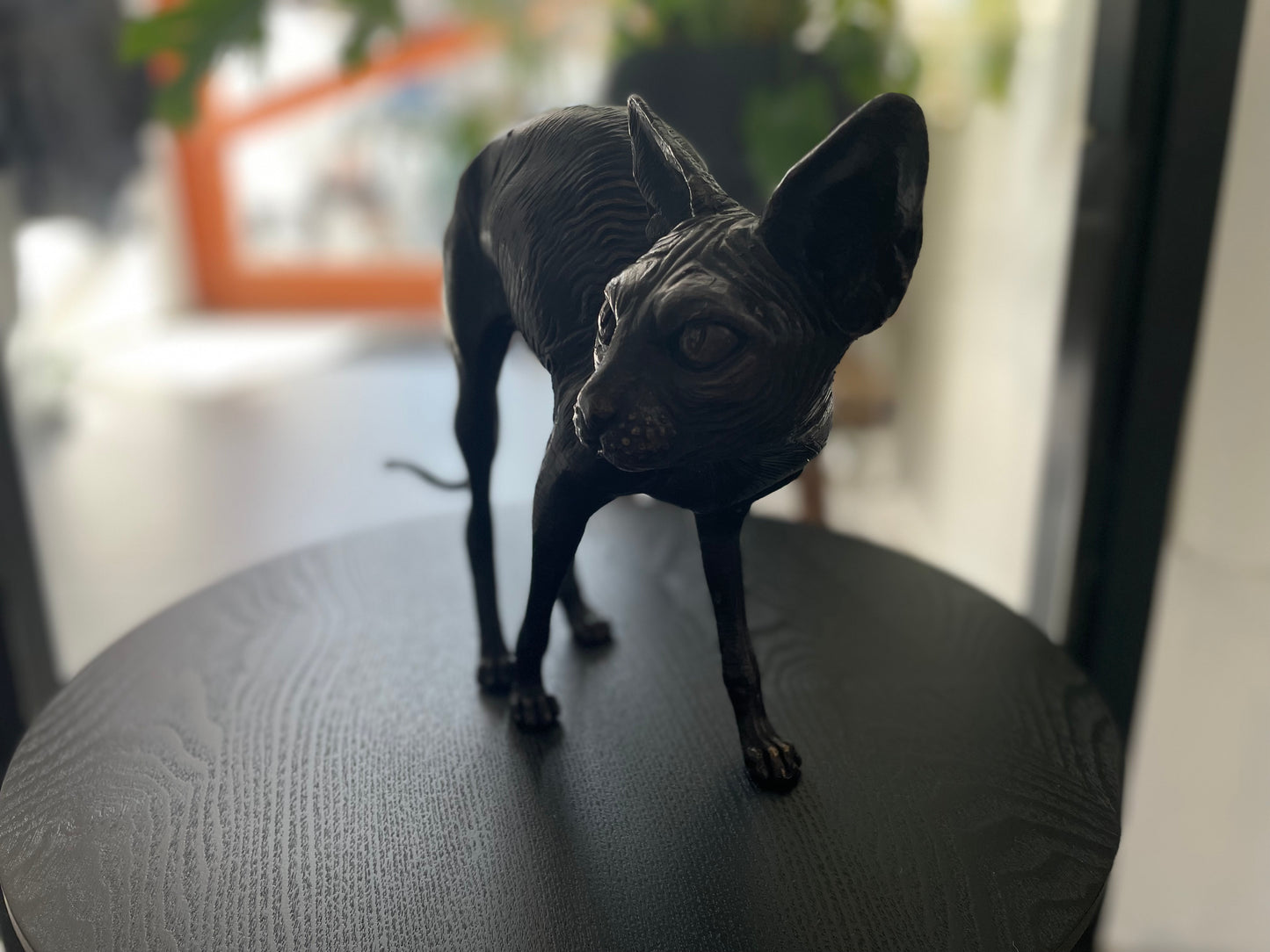 Sphynx Cat – Bronze Sculpture. 22x11x29cm - 1Kg