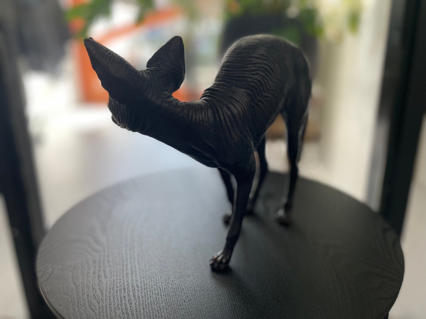 Sphynx Cat – Bronze Sculpture. 22x11x29cm - 1Kg
