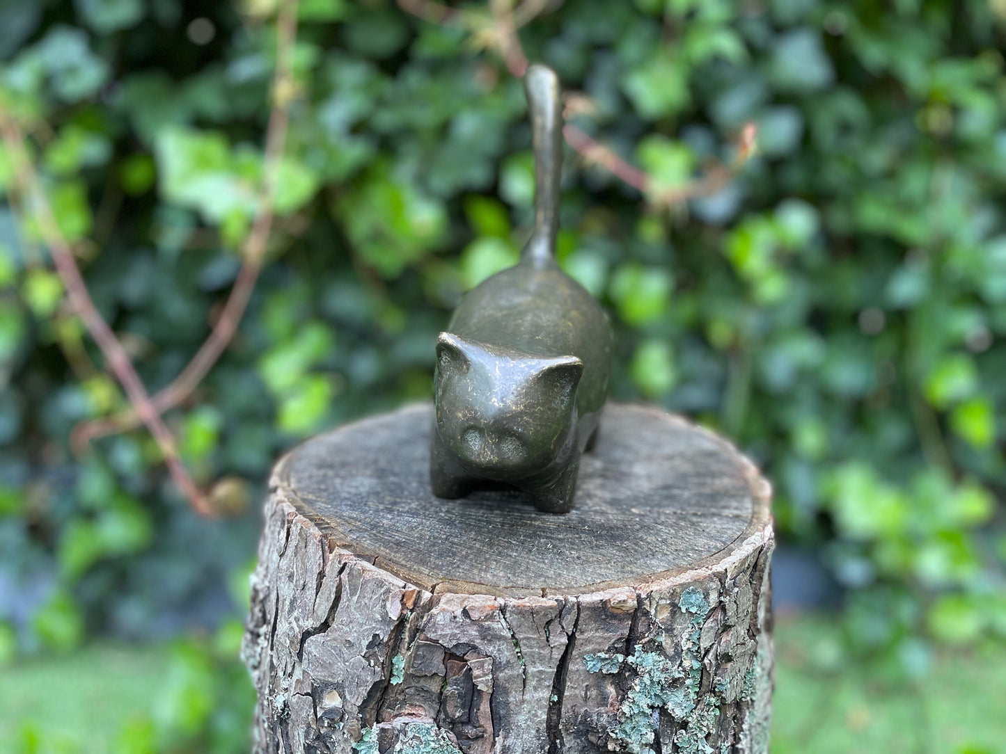 Playful Cat – Bronze Sculpture. 14x6x10cm