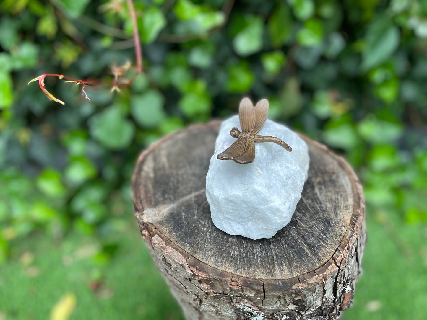 Dragonfly on Stone – Bronze Sculpture. 8x7x3cm