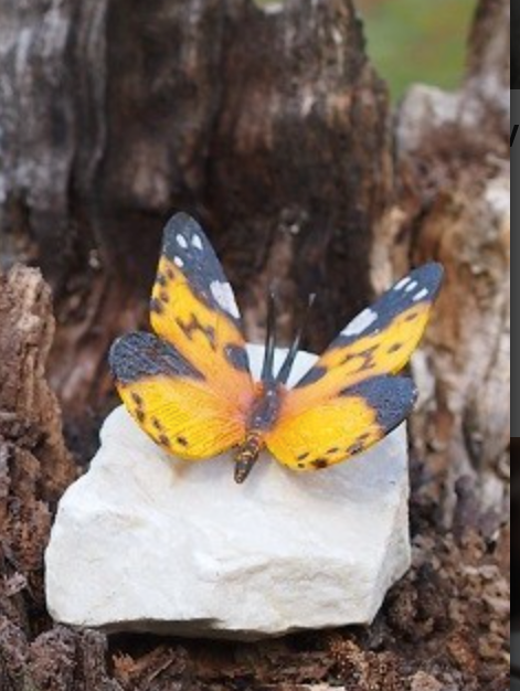 Colorful Butterfly – Bronze Sculpture. 11x11x12cm
