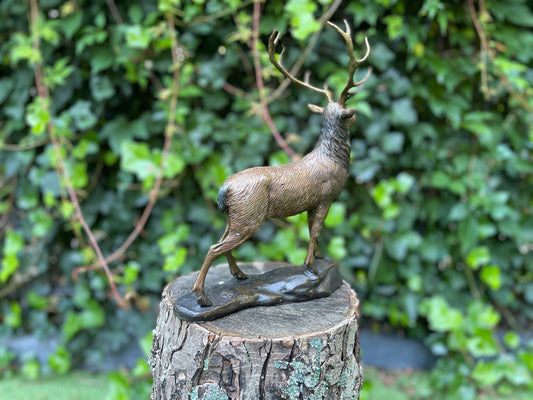 Majestic Stag – Bronze Sculpture. 32x12x28cm