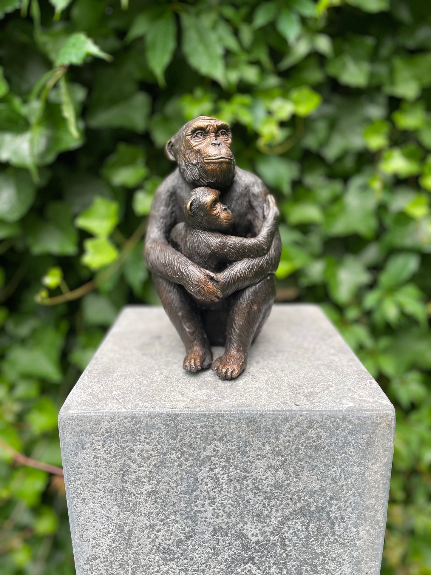 Macaco de bronze com bebê - chimpanzé - 17x8x9cm