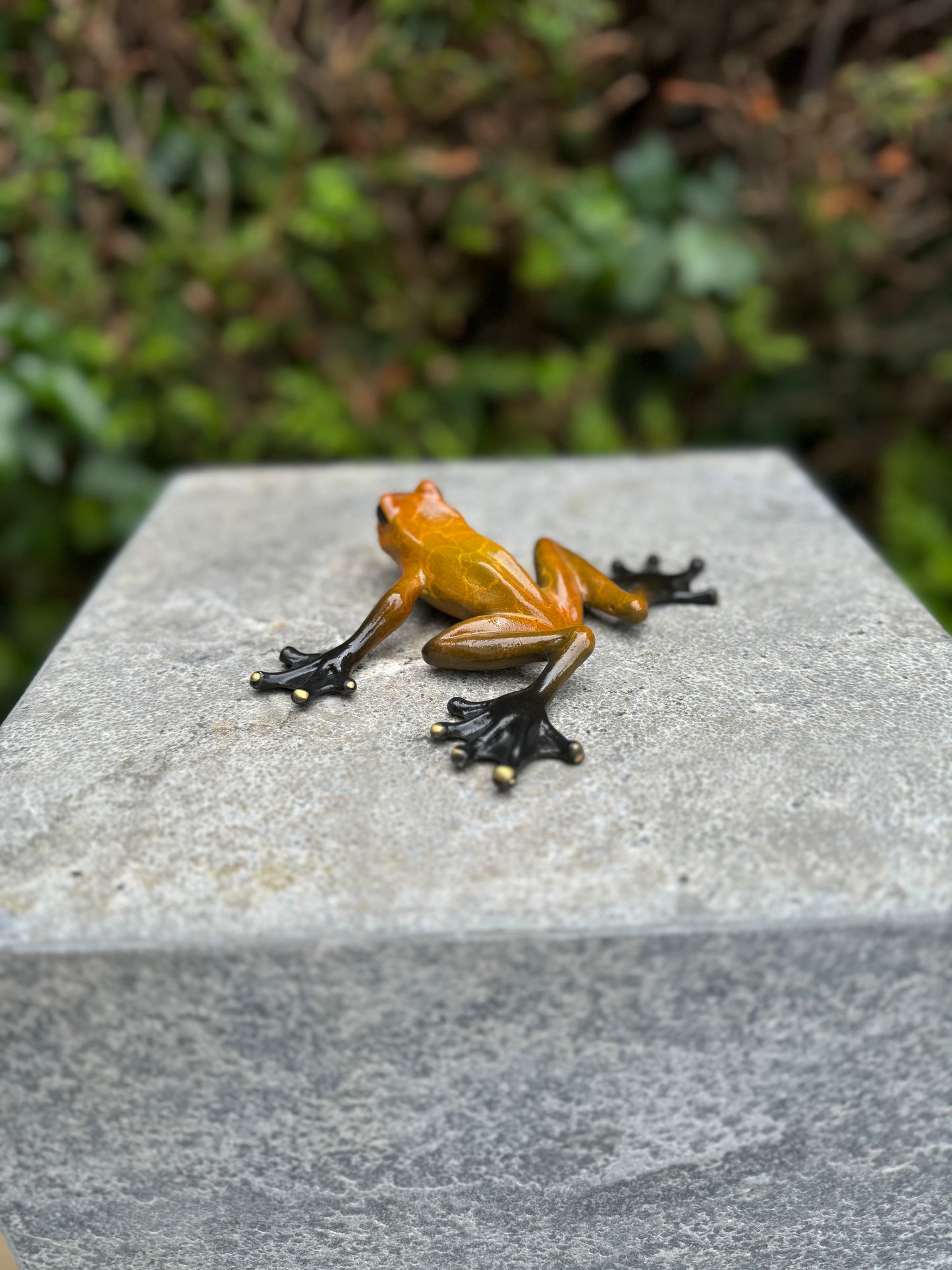 Sapo de Bronze - Estátua de jardim - Decoração de jardim - Lagoa