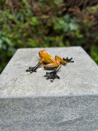 Sapo de Bronze - Estátua de jardim - Decoração de jardim - Lagoa