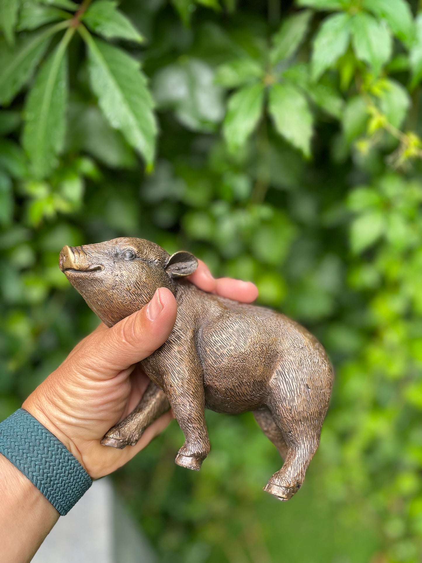 Leitão de bronze  - 18x16x12cm