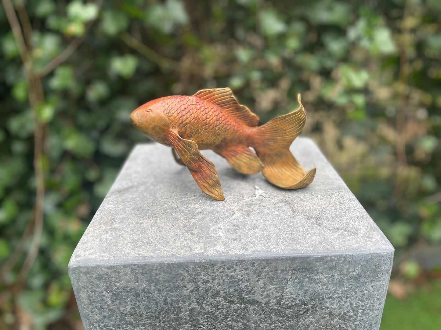 Peixe dourado de bronze ( Fonte ) 11x8x18cm