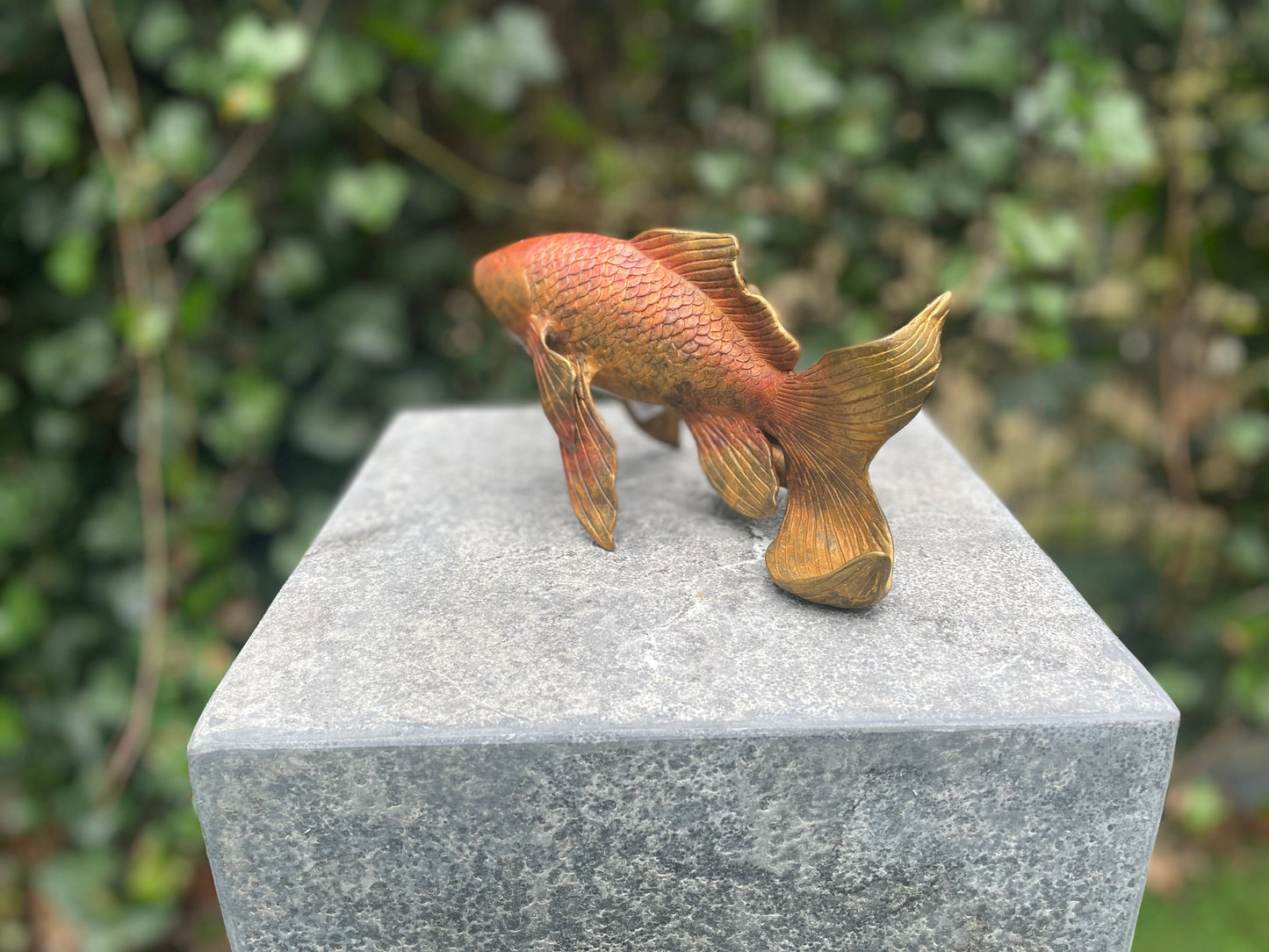 Peixe dourado de bronze ( Fonte ) 11x8x18cm