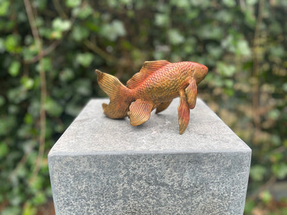 Peixe dourado de bronze ( Fonte ) 11x8x18cm