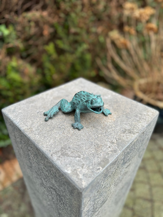 Wall Frog – Bronze Sculpture. 16x10x6cm - 0.9Kg