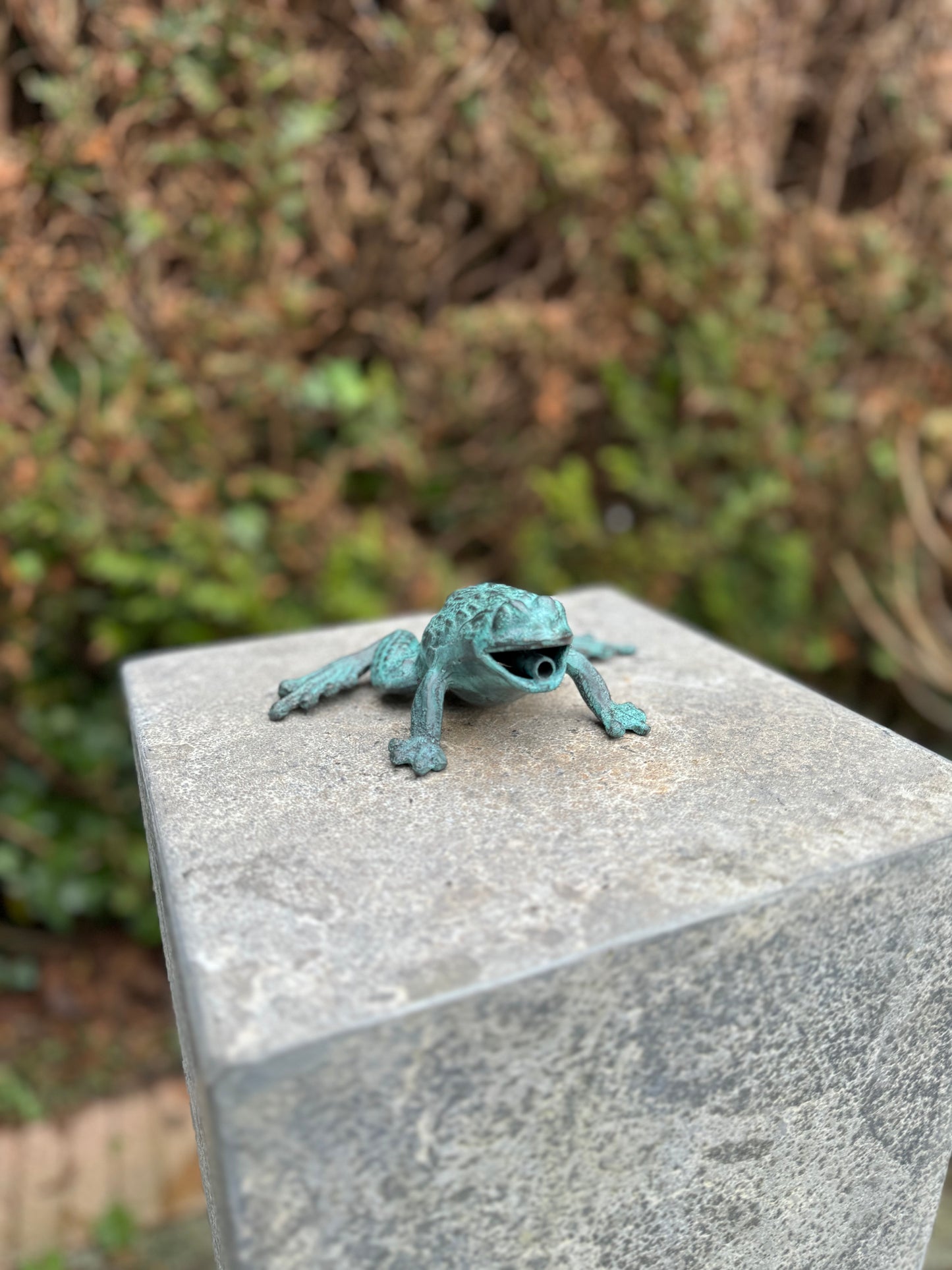 Sapo de bronze III - Fonte - Estátua de jardim - Lagoa - Decoração de jardim