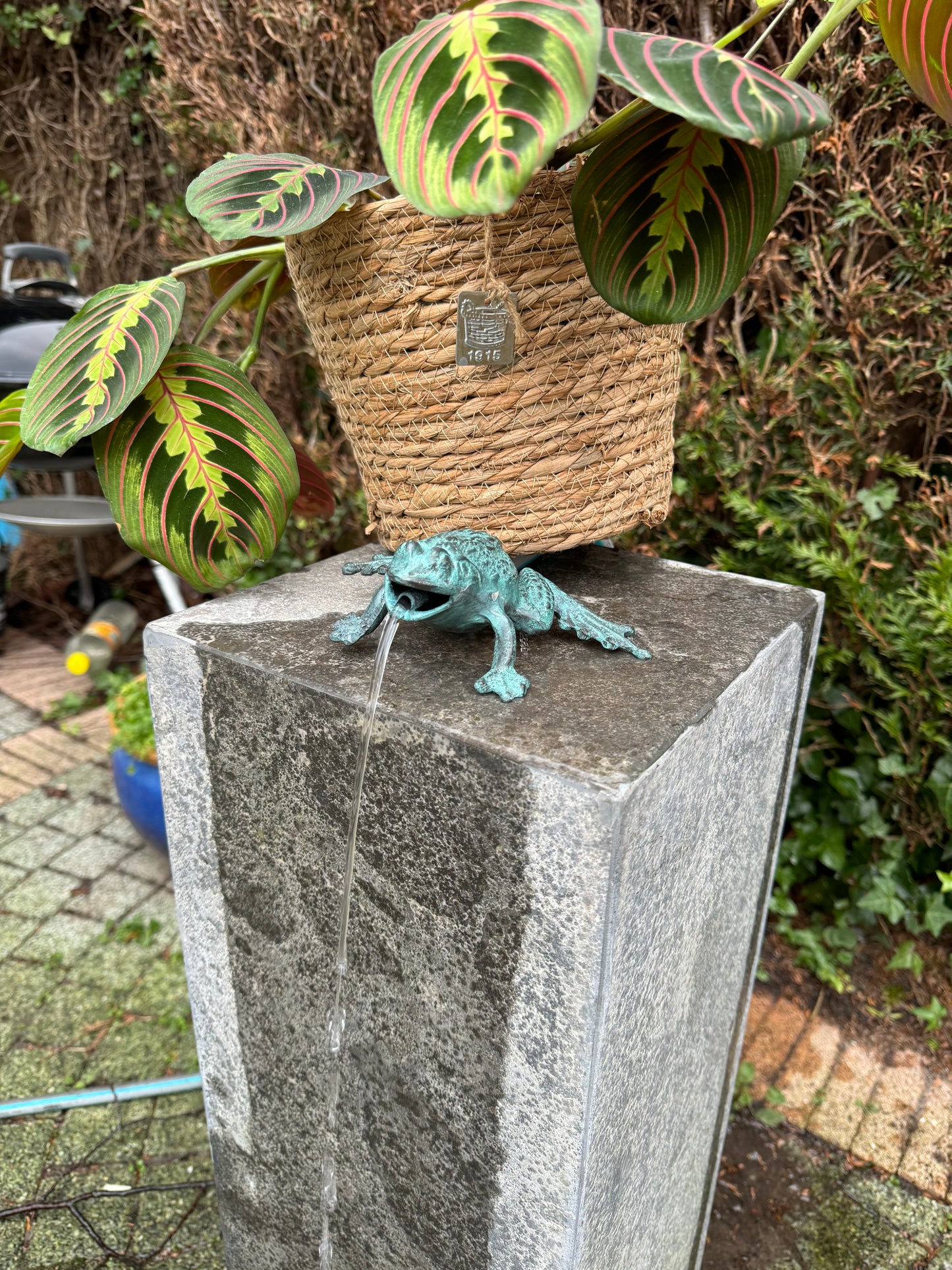 Sapo de bronze III - Fonte - Estátua de jardim - Lagoa - Decoração de jardim