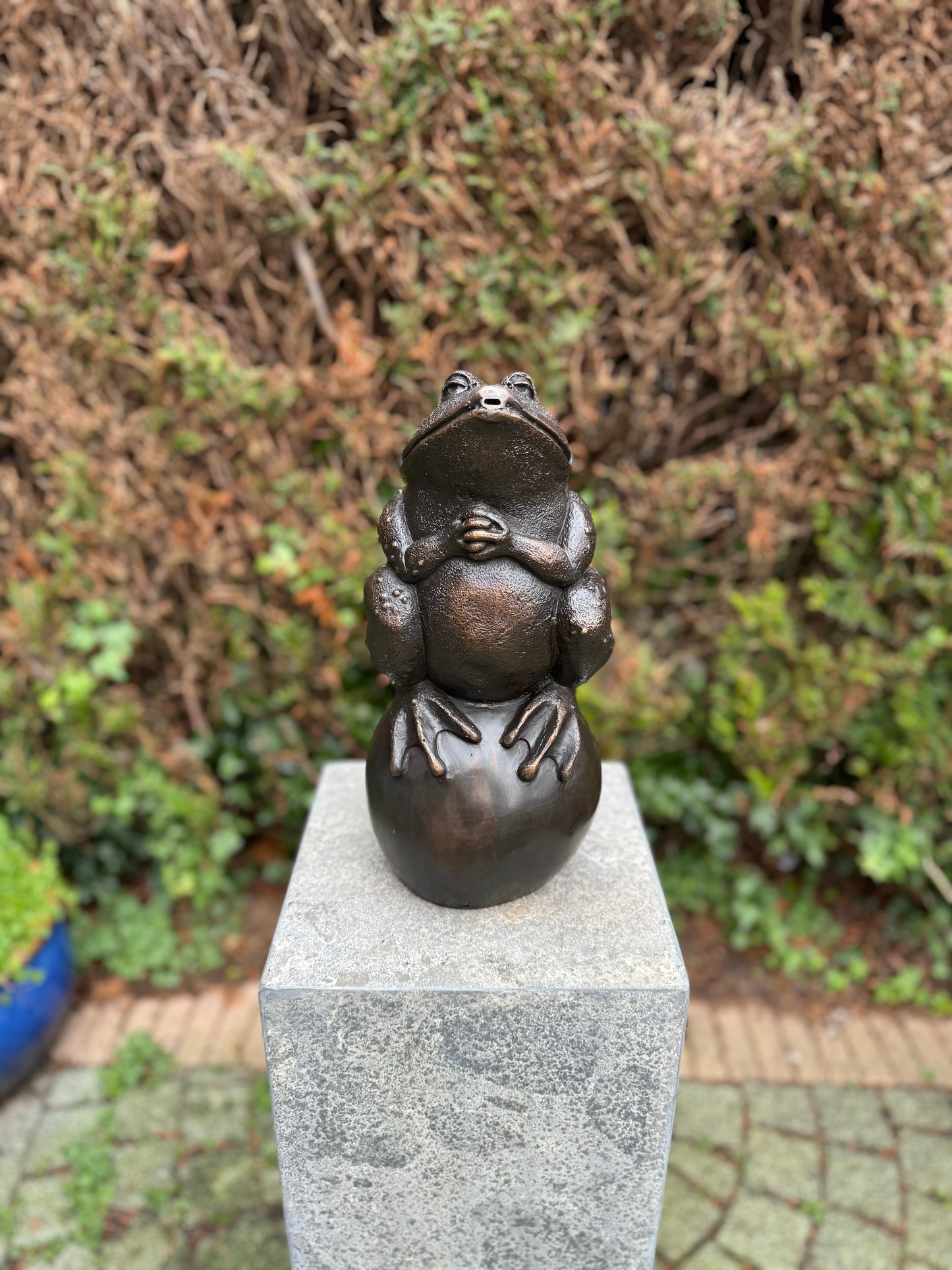 Sapo de bronze - fonte - estátua de jardim - lago - decoração de jardim