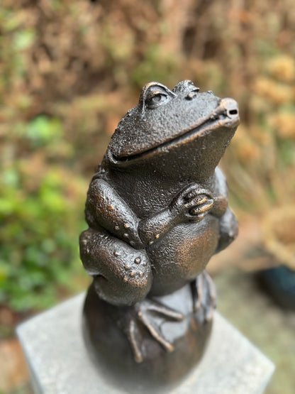 Sapo de bronze - fonte - estátua de jardim - lago - decoração de jardim