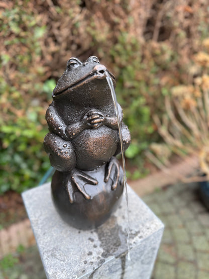 Sapo de bronze - fonte - estátua de jardim - lago - decoração de jardim