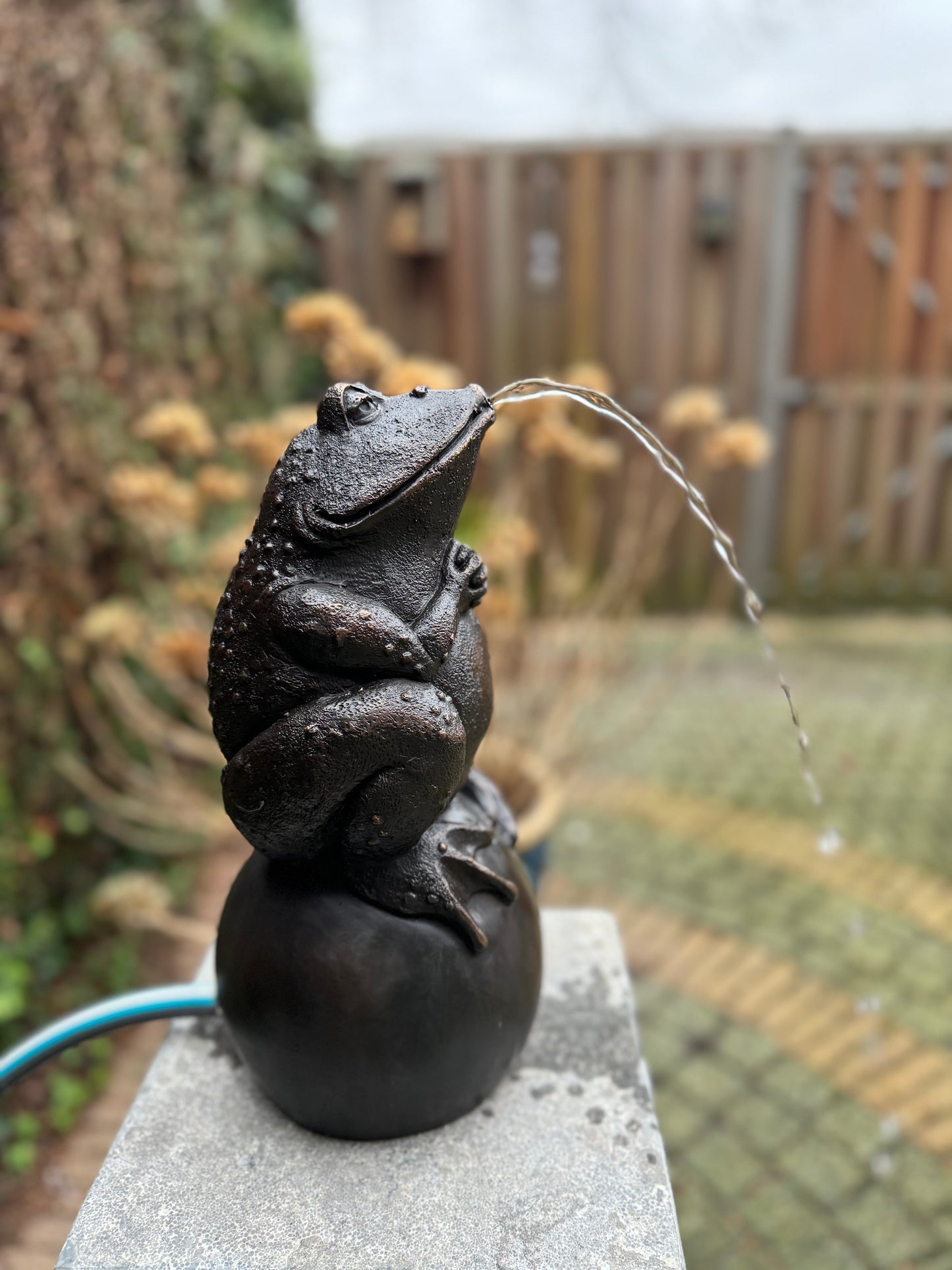 Sapo de bronze - fonte - estátua de jardim - lago - decoração de jardim