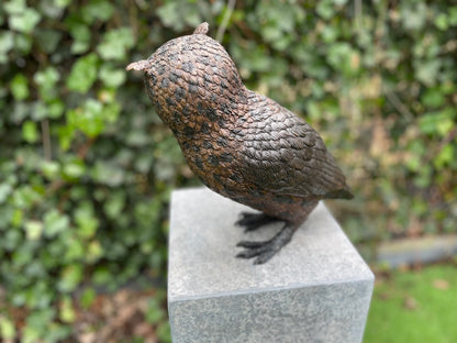 Coruja de Bronze - 30x15x28cm