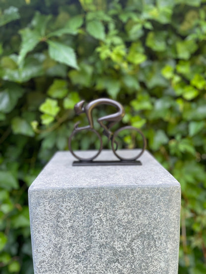 Ciclista de Bronze - 15x17x3cm