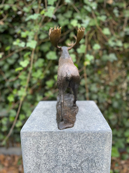 Noble Moose – Bronze Sculpture. 26x15x30cm - 1.5Kg