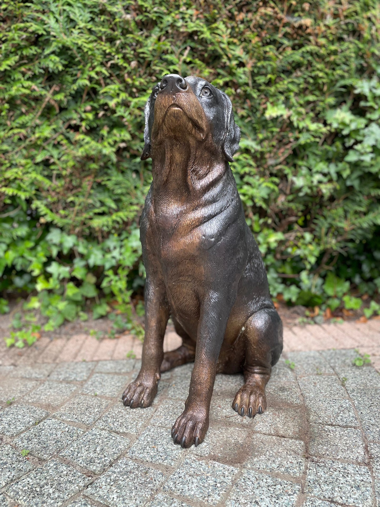 Bronze Rottweiler -  44x35x64cm - 11Kg