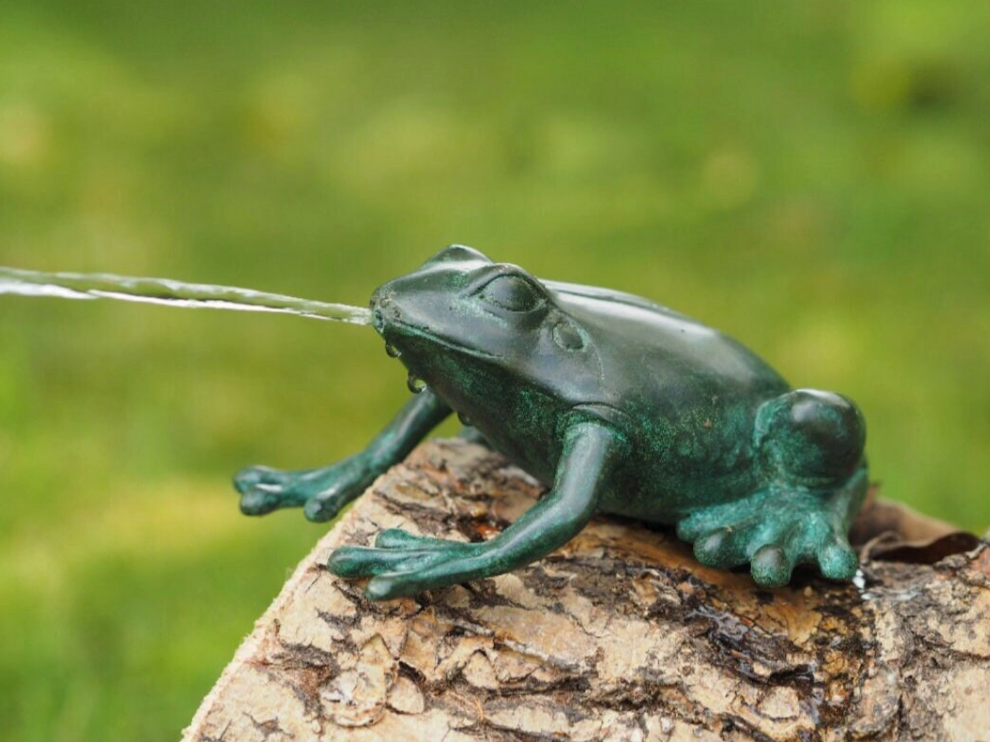 Sapo de Bronze - Fonte - Estátua de jardim - Lagoa