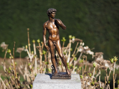 David – Bronze Sculpture. 32x9x8cm - 2Kg