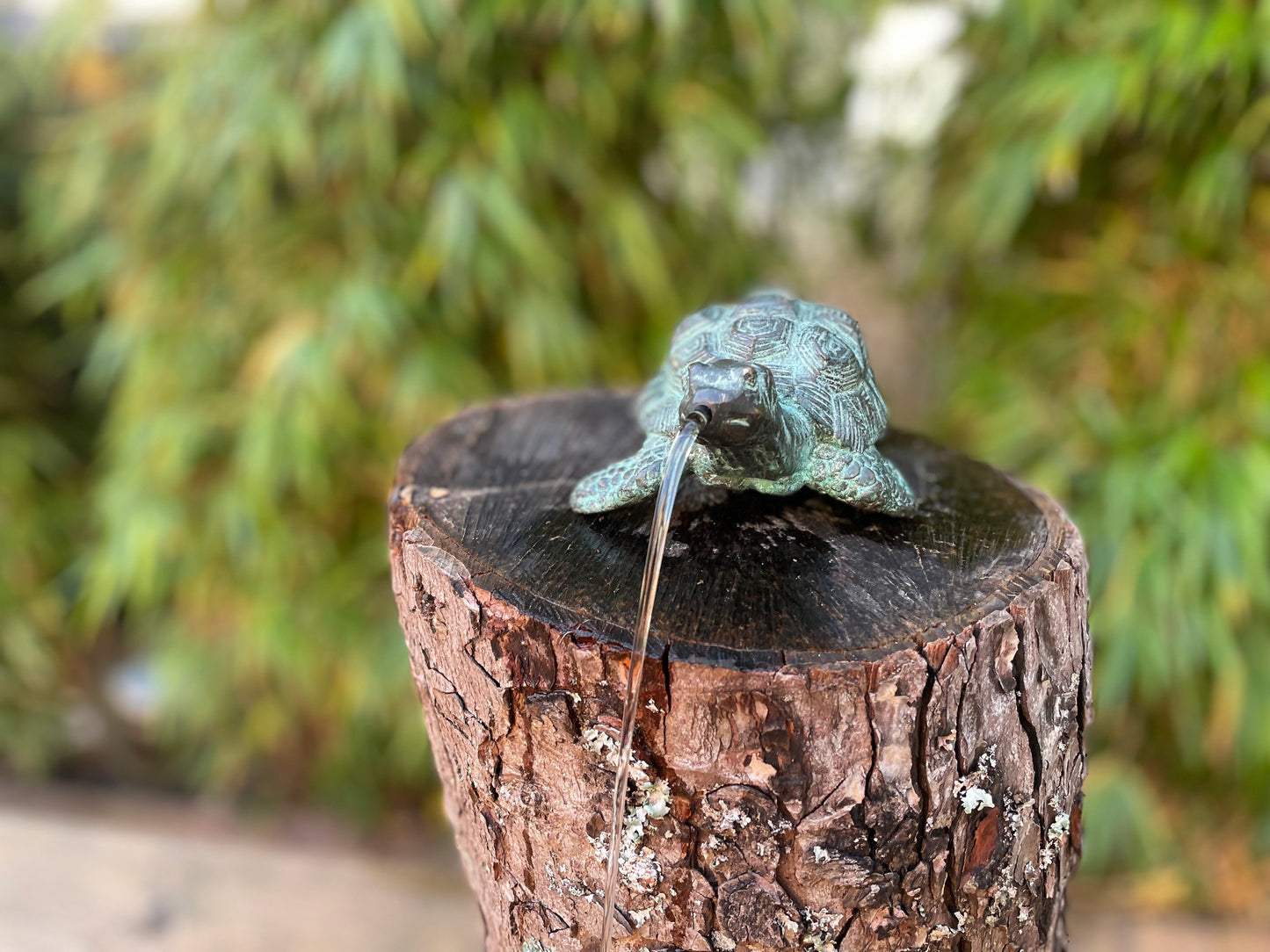 Tartaruga de Bronze - Estátua de jardim - Interior - Decoração de lago - Fonte