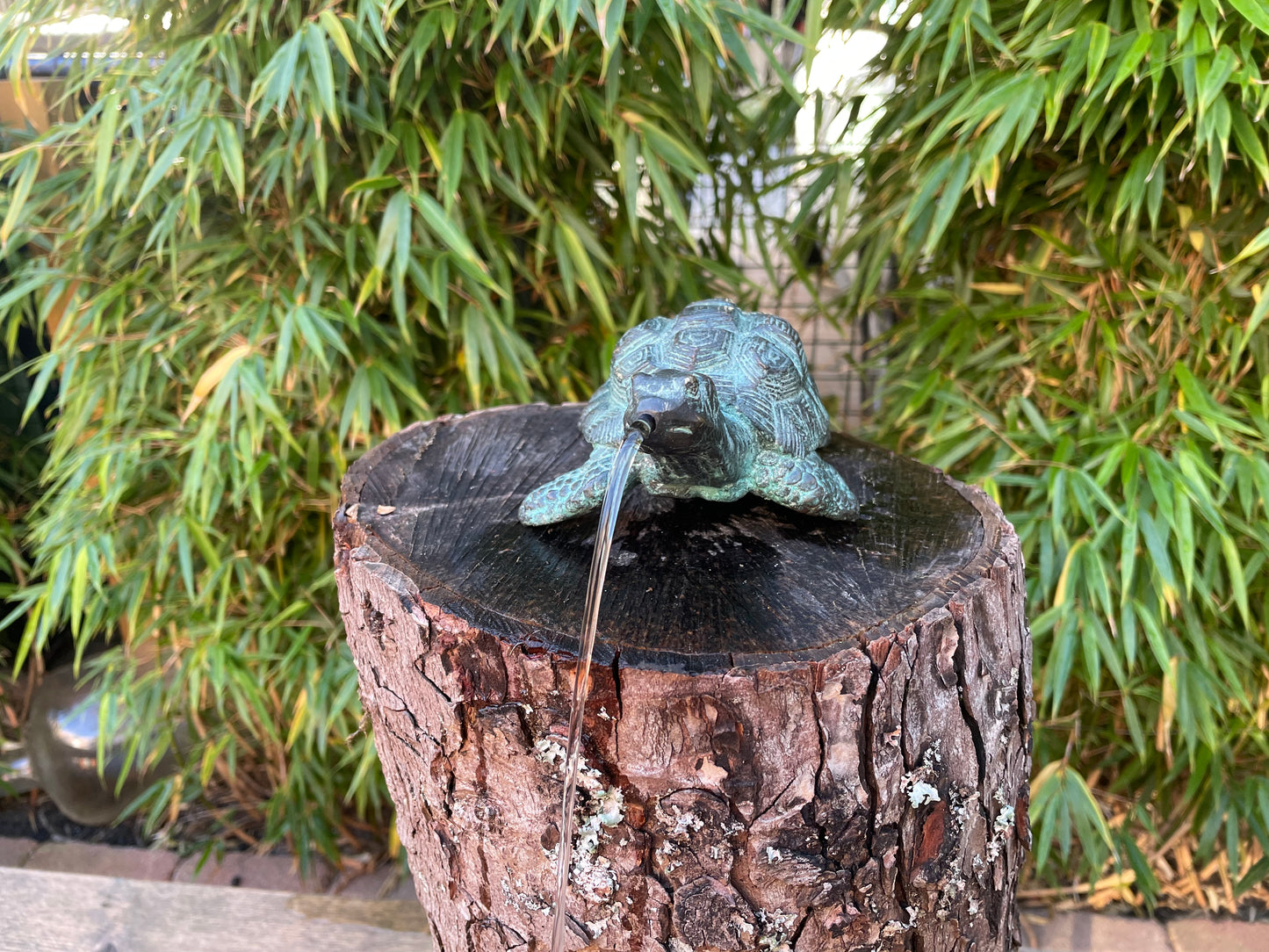 Tartaruga de Bronze - Estátua de jardim - Interior - Decoração de lago - Fonte