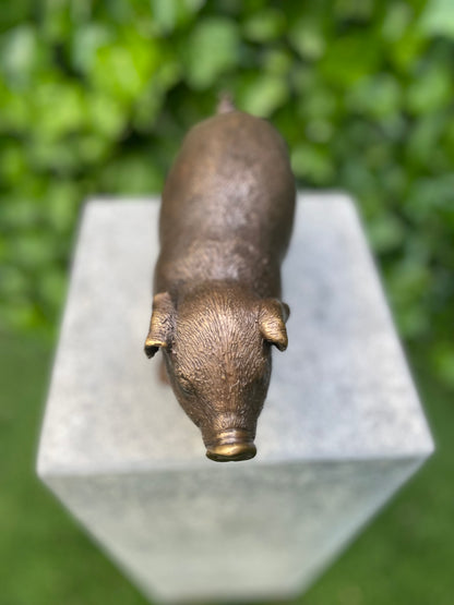 Porco de Bronze -15x8x12cm