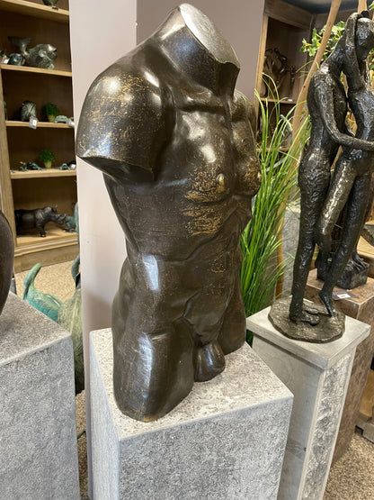 Male Torso – Bronze Sculpture. 41x20x56cm