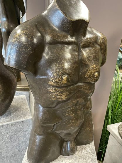 Male Torso – Bronze Sculpture. 41x20x56cm