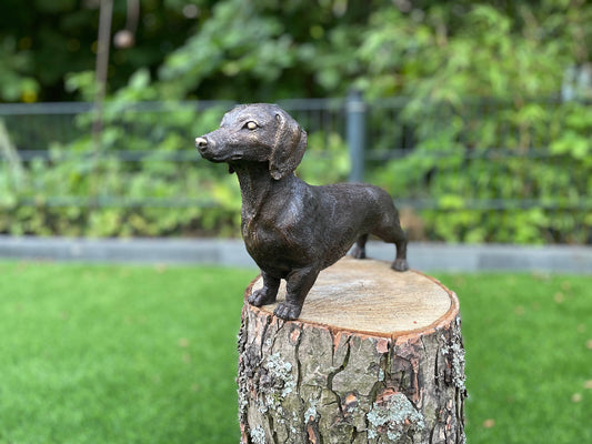 Alert Dachshund – Bronze Sculpture. 30x8x18cm