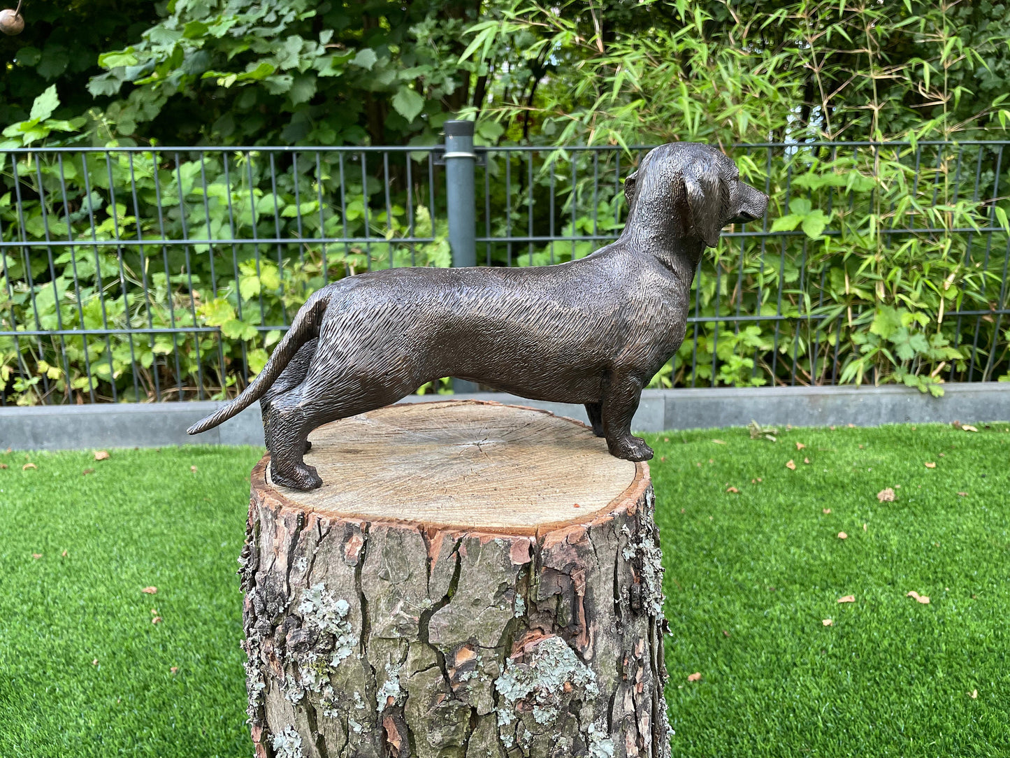 Alert Dachshund – Bronze Sculpture. 30x8x18cm