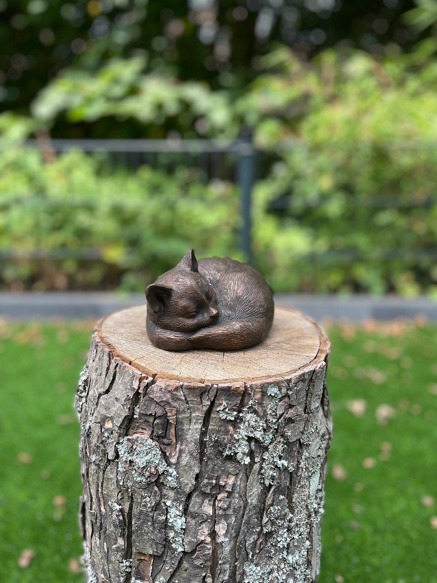 Sleeping Cat – Bronze Sculpture. 11x14x9cm