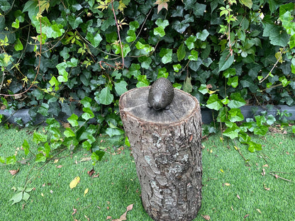 Little Hedgehog – Bronze Sculpture. 14x6x7cm