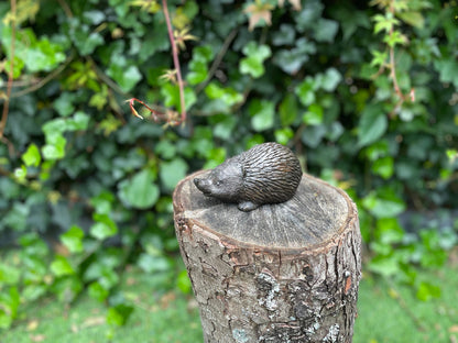 Little Hedgehog – Bronze Sculpture. 14x6x7cm