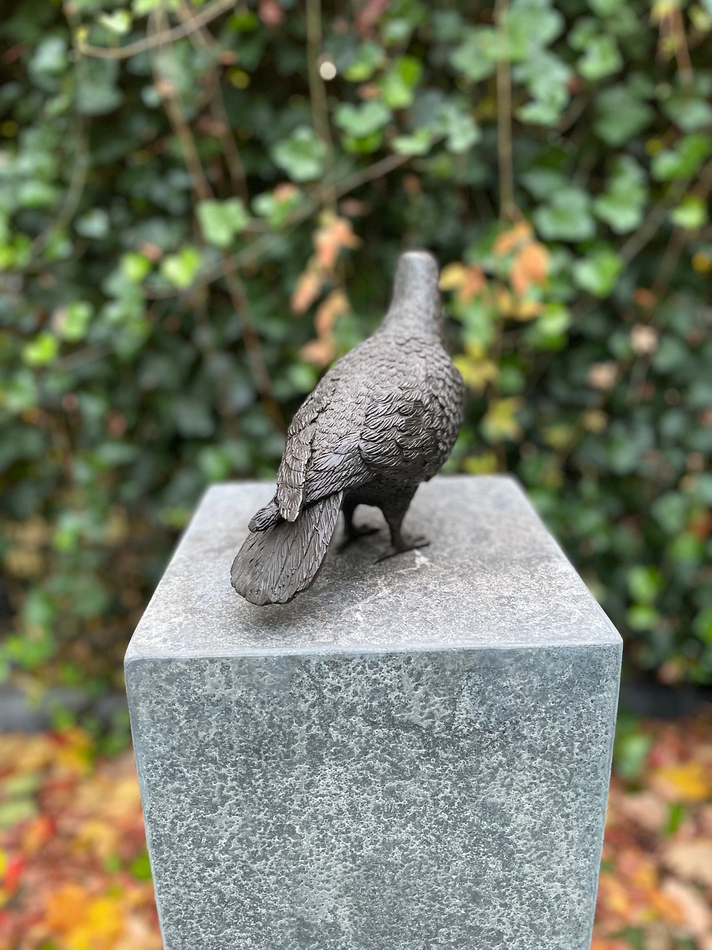 Garden Dove – Bronze Sculpture. 22x9x18cm
