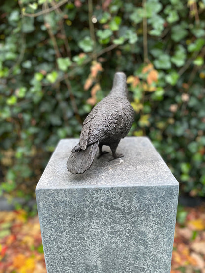 Garden Dove – Bronze Sculpture. 22x9x18cm