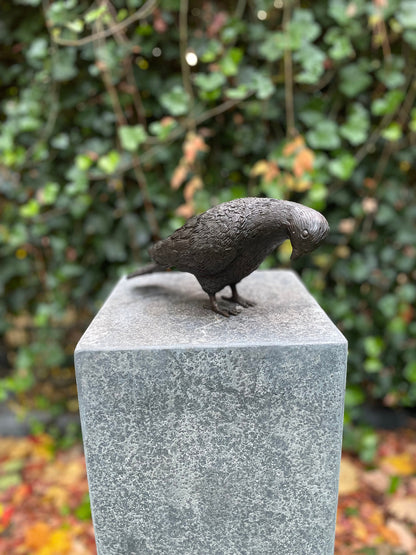 Garden Dove – Bronze Sculpture. 22x9x18cm