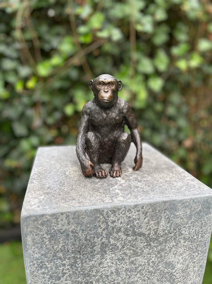 Thoughtful Monkey – Bronze Sculpture. 12x9x15cm