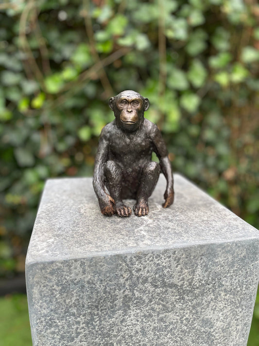 Thoughtful Monkey – Bronze Sculpture. 12x9x15cm