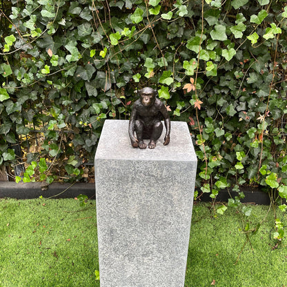 Thoughtful Monkey – Bronze Sculpture. 12x9x15cm