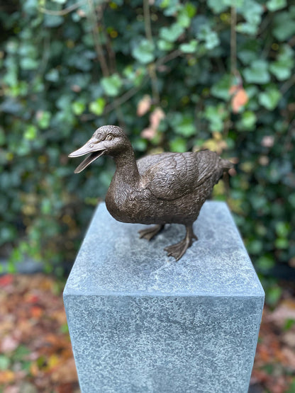 Standing Duck – Bronze Sculpture. 20x10x28cm - 1.7Kg