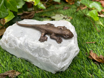 Resting Lizard – Bronze Sculpture. 17x10x6cm