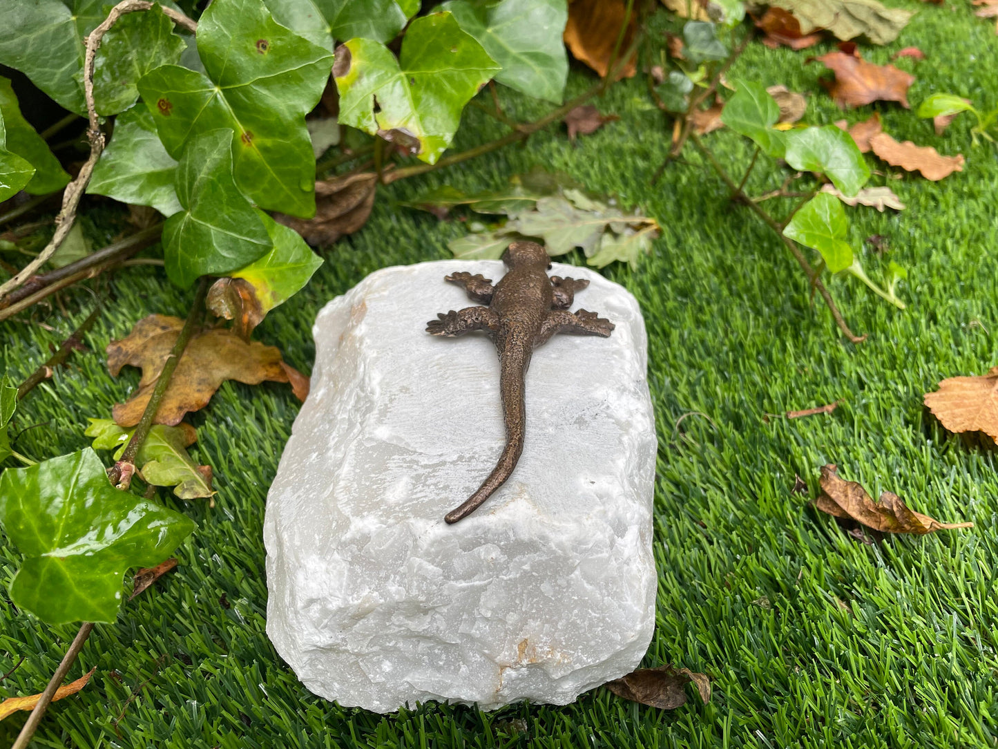 Resting Lizard – Bronze Sculpture. 17x10x6cm