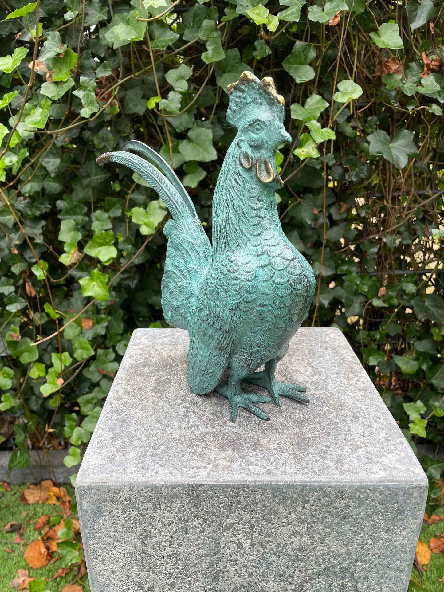 Proud Rooster – Bronze Sculpture. 23x9x27cm - 1.7Kg