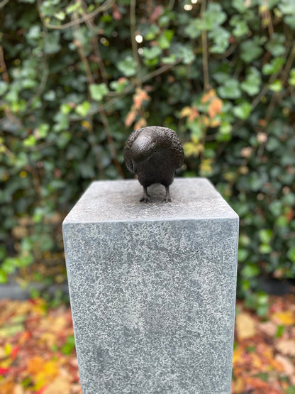 Garden Dove – Bronze Sculpture. 22x9x18cm