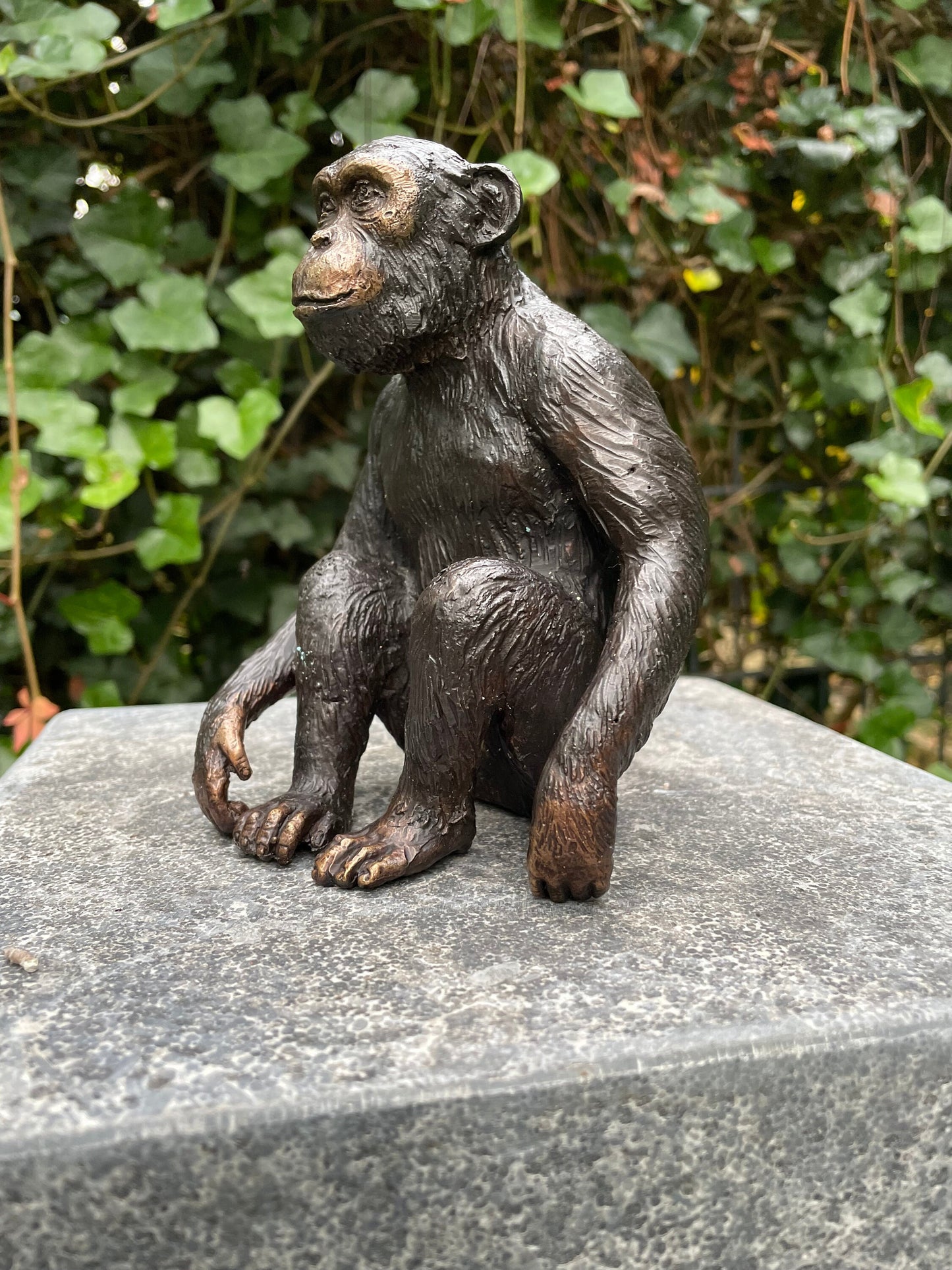 Thoughtful Monkey – Bronze Sculpture. 12x9x15cm